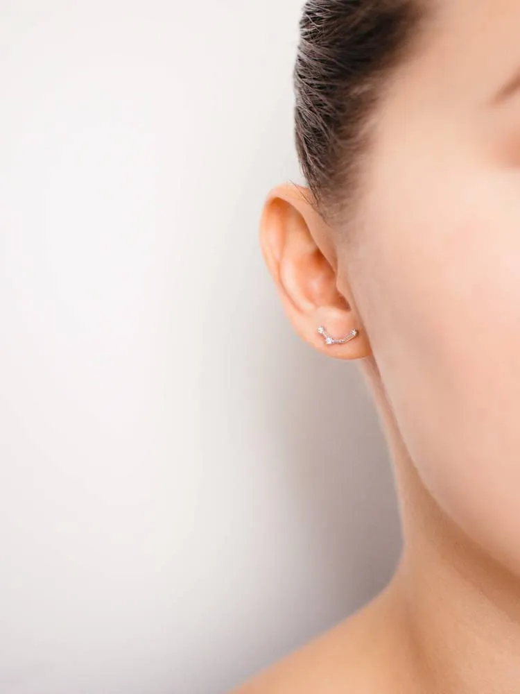 Aquarius Earrings Jan 20. - Feb 18.