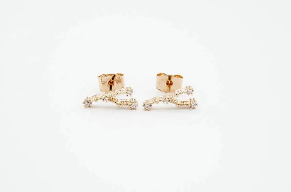 Cancer Earrings Jun 21. - Jul 22.
