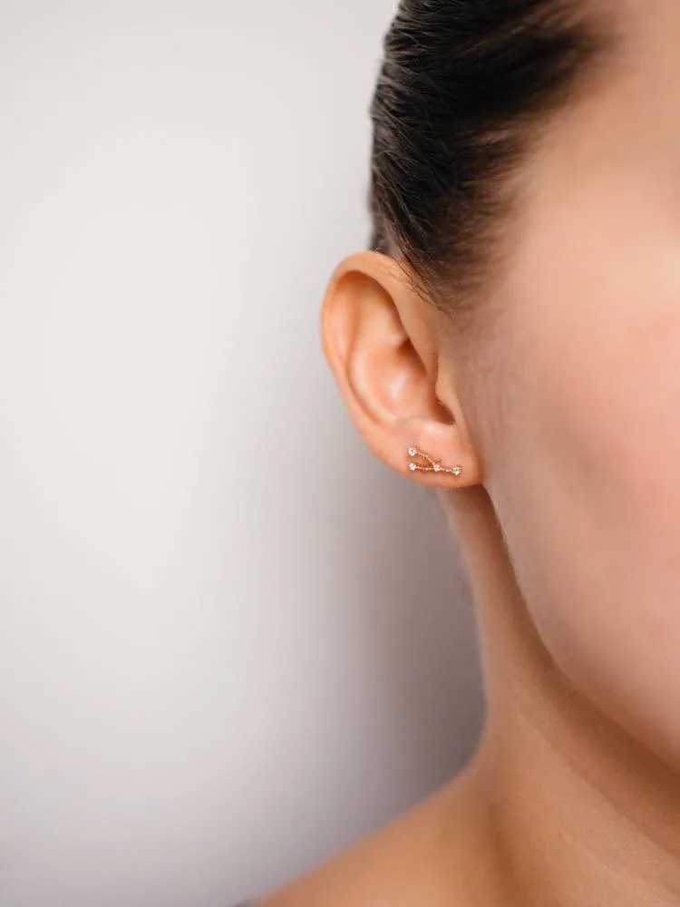 Cancer Earrings Jun 21. - Jul 22.