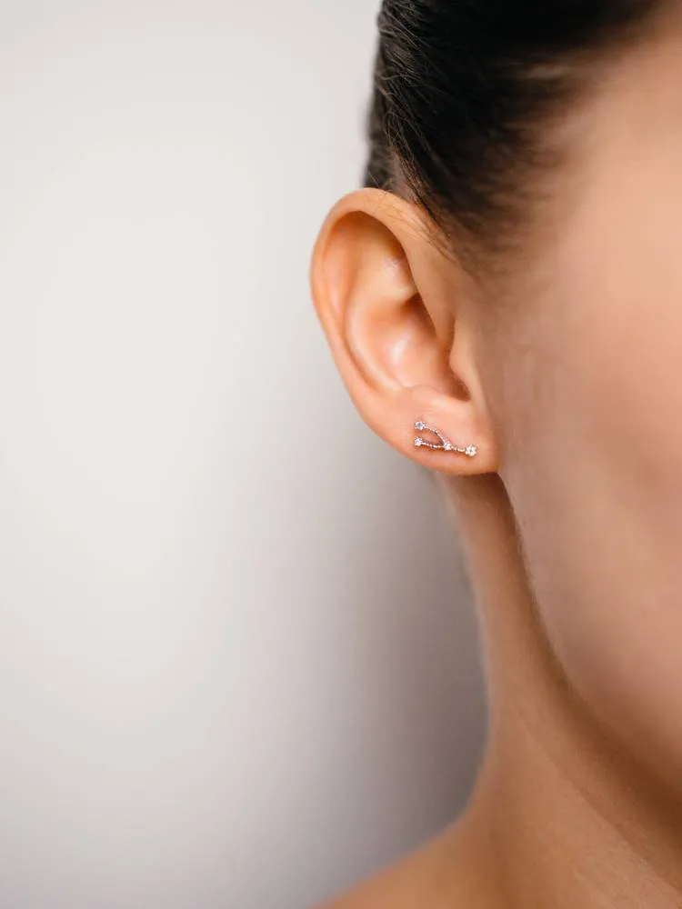 Cancer Earrings Jun 21. - Jul 22.