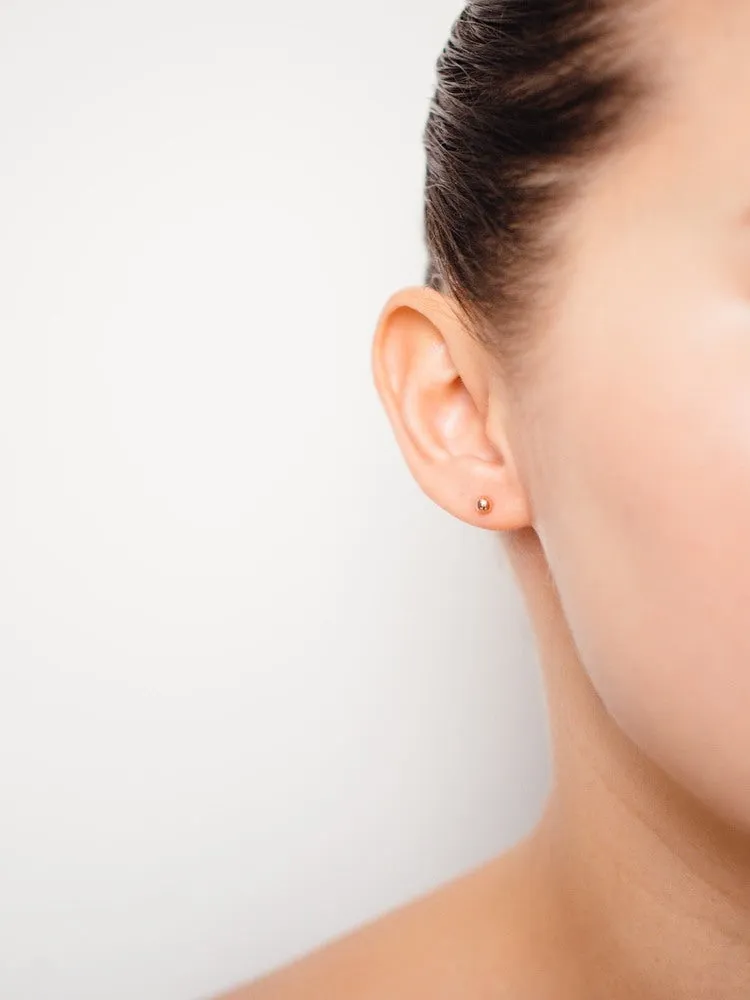 Capricorn Earrings Dec 22. - Jan 19.