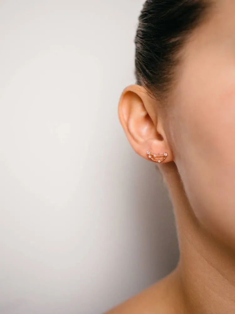 Capricorn Earrings Dec 22. - Jan 19.