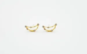 Capricorn Earrings Dec 22. - Jan 19.