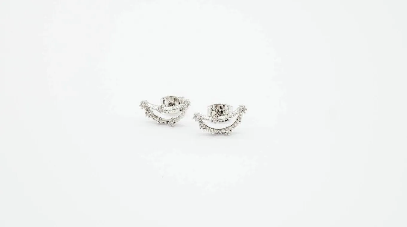 Capricorn Earrings Dec 22. - Jan 19.