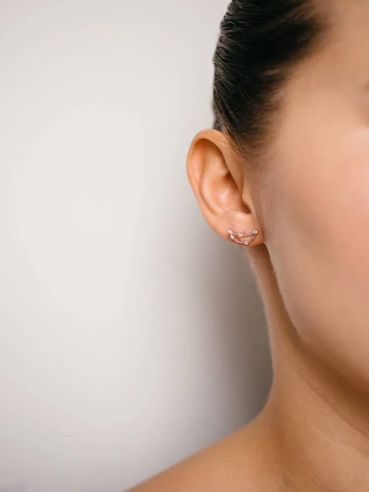 Capricorn Earrings Dec 22. - Jan 19.