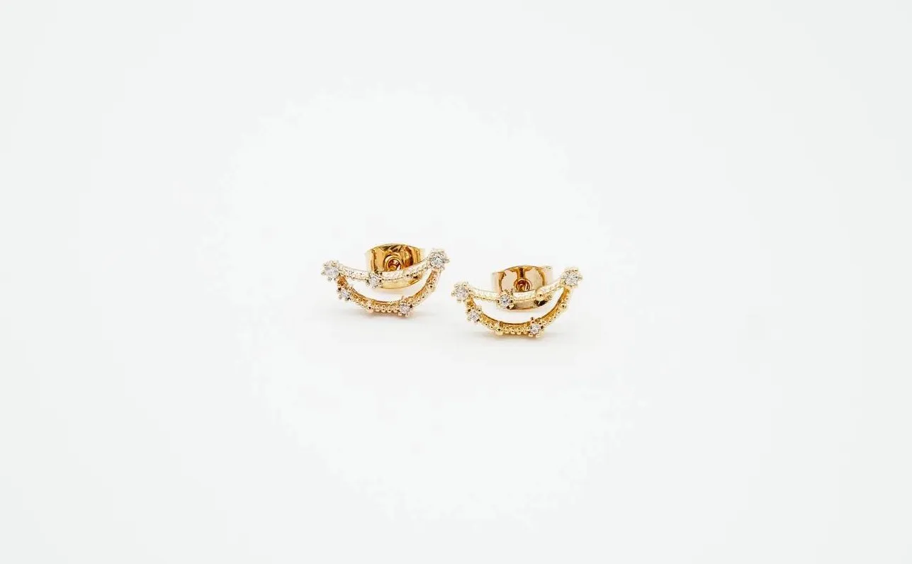 Capricorn Earrings Dec 22. - Jan 19.