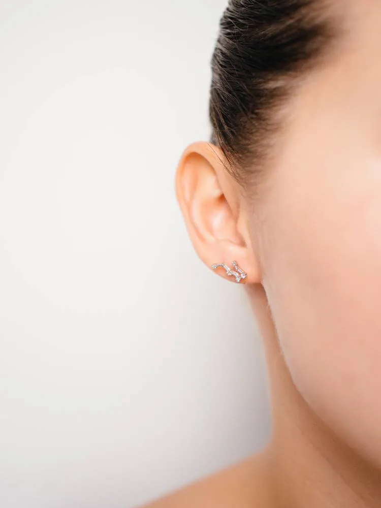 Gemini Earrings May 21. - Jun 20.