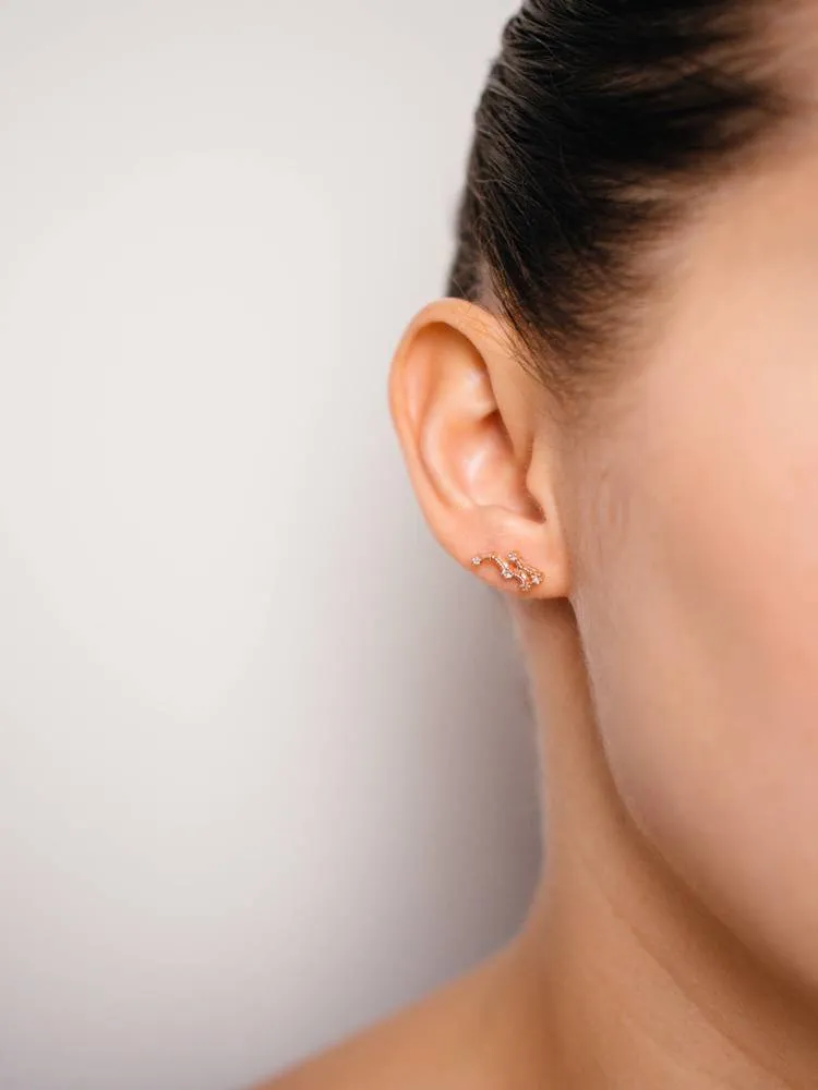 Gemini Earrings May 21. - Jun 20.