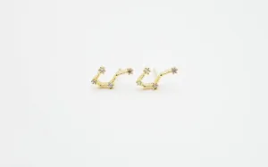 Taurus Earrings Apr 20. - May 20.