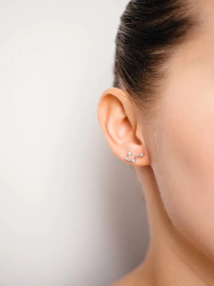 Taurus Earrings Apr 20. - May 20.